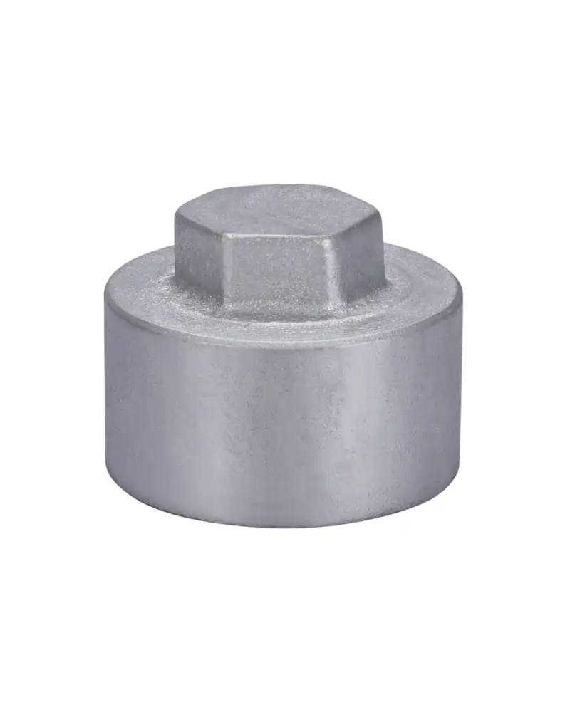 Dust Cap
